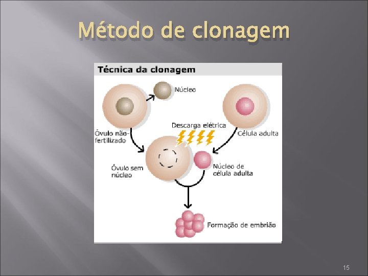 Método de clonagem 15 