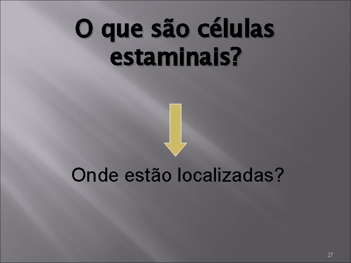 O que são células estaminais? Onde estão localizadas? 27 