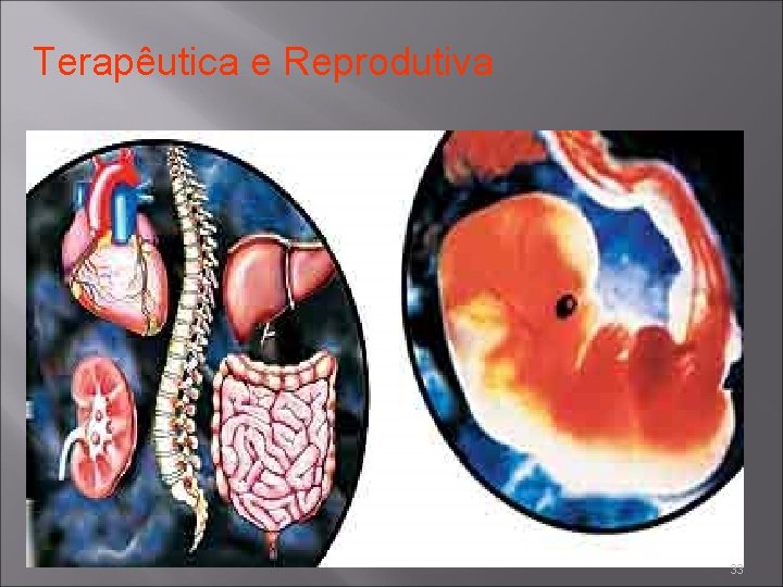Terapêutica e Reprodutiva 33 