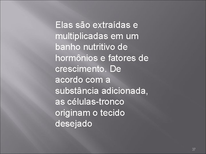 Elas são extraídas e multiplicadas em um banho nutritivo de hormônios e fatores de