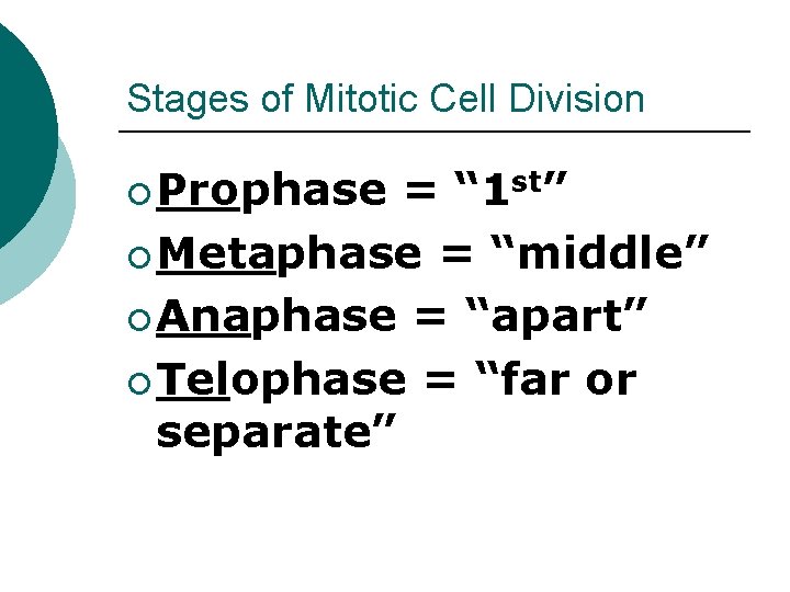 Stages of Mitotic Cell Division ¡ Prophase = “ 1 st” ¡ Metaphase =