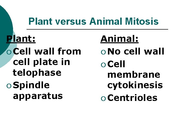 Plant versus Animal Mitosis Plant: ¡ Cell wall from cell plate in telophase ¡