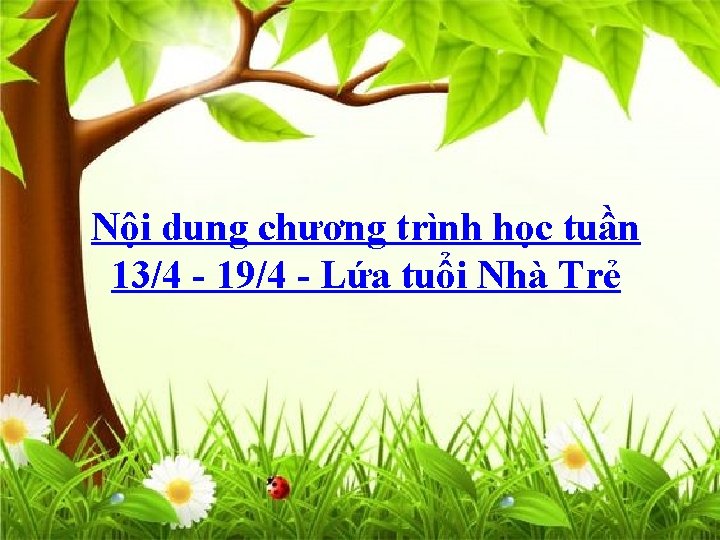 Nội dung chương trình học tuần 13/4 - 19/4 - Lứa tuổi Nhà Trẻ