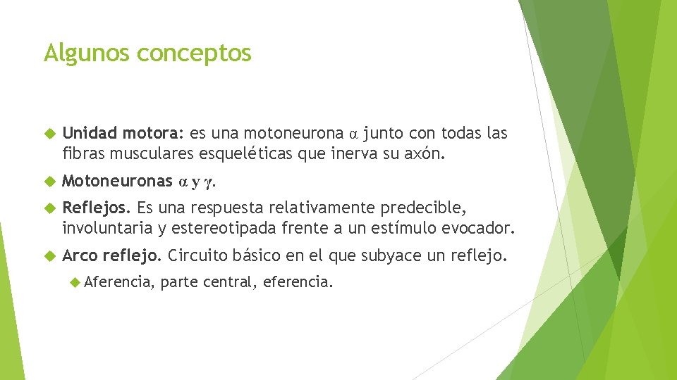 Algunos conceptos Unidad motora: es una motoneurona α junto con todas las fibras musculares Algunos conceptos Unidad motora: es una motoneurona α junto con todas las fibras musculares