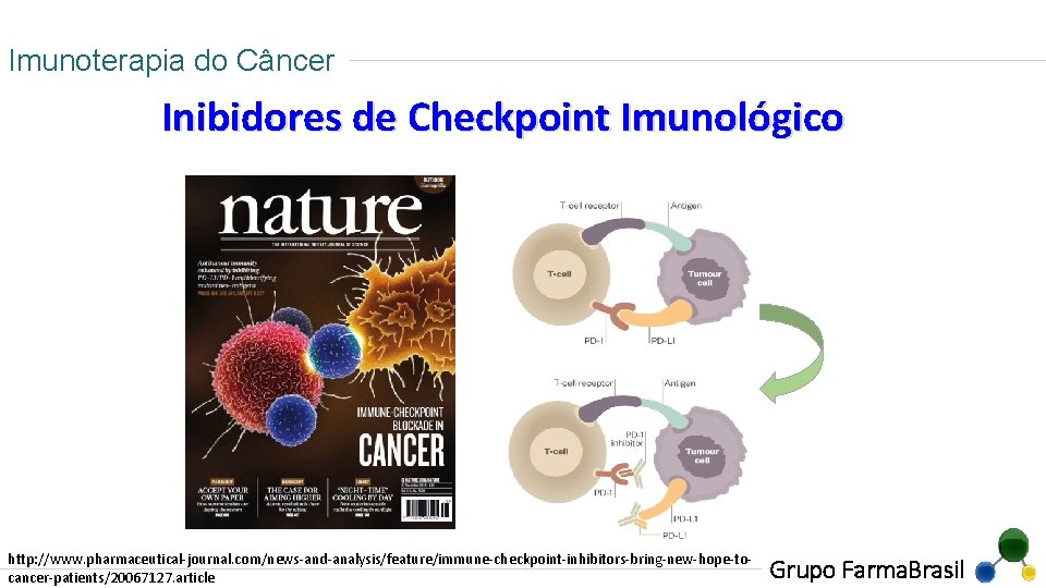 Imunoterapia do Câncer Inibidores de Checkpoint Imunológico http: //www. pharmaceutical-journal. com/news-and-analysis/feature/immune-checkpoint-inhibitors-bring-new-hope-tocancer-patients/20067127. article Grupo Farma.