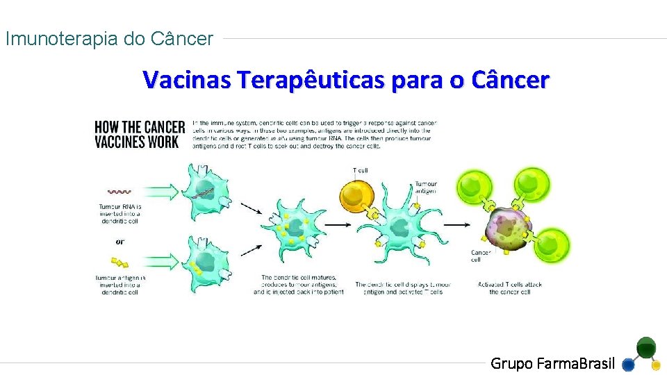 Imunoterapia do Câncer Vacinas Terapêuticas para o Câncer Grupo Farma. Brasil 