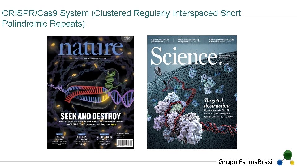 CRISPR/Cas 9 System (Clustered Regularly Interspaced Short Palindromic Repeats) Grupo Farma. Brasil 