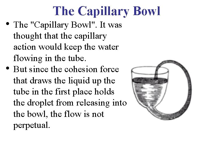 The Capillary Bowl • The "Capillary Bowl". It was • thought that the capillary