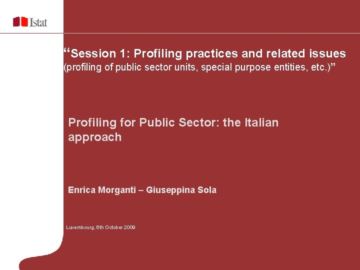 “Session 1: Profiling practices and related issues (profiling of public sector units, special purpose