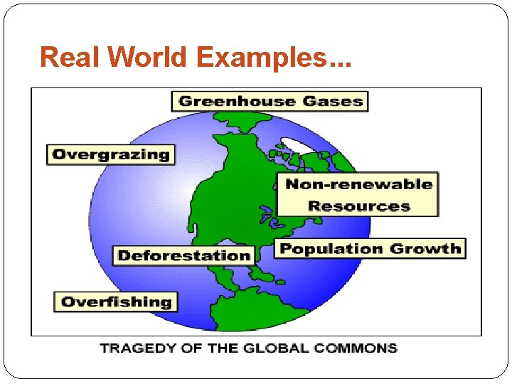 Real World Examples. . . 