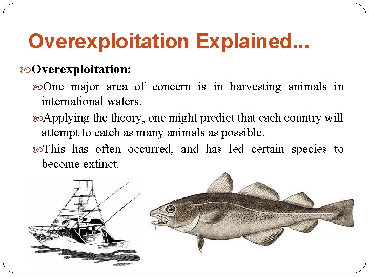 Overexploitation Explained. . . Overexploitation: One major area of concern is in harvesting animals