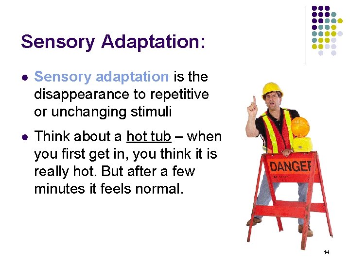 Sensory Adaptation: l Sensory adaptation is the disappearance to repetitive or unchanging stimuli l