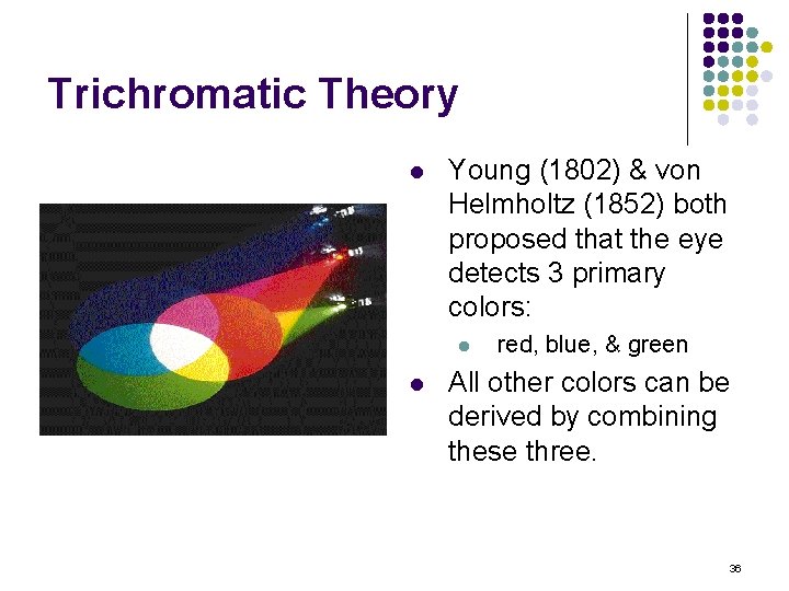 Trichromatic Theory l Young (1802) & von Helmholtz (1852) both proposed that the eye