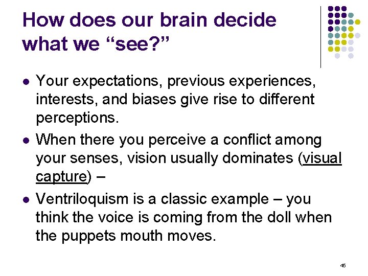 How does our brain decide what we “see? ” l l l Your expectations,