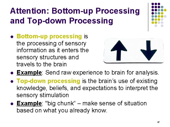 Attention: Bottom-up Processing and Top-down Processing l l Bottom-up processing is the processing of