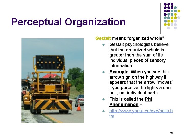 Perceptual Organization Gestalt means “organized whole” l Gestalt psychologists believe that the organized whole