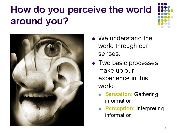 How do you perceive the world around you? l l We understand the world
