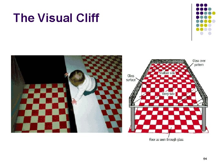 The Visual Cliff 64 