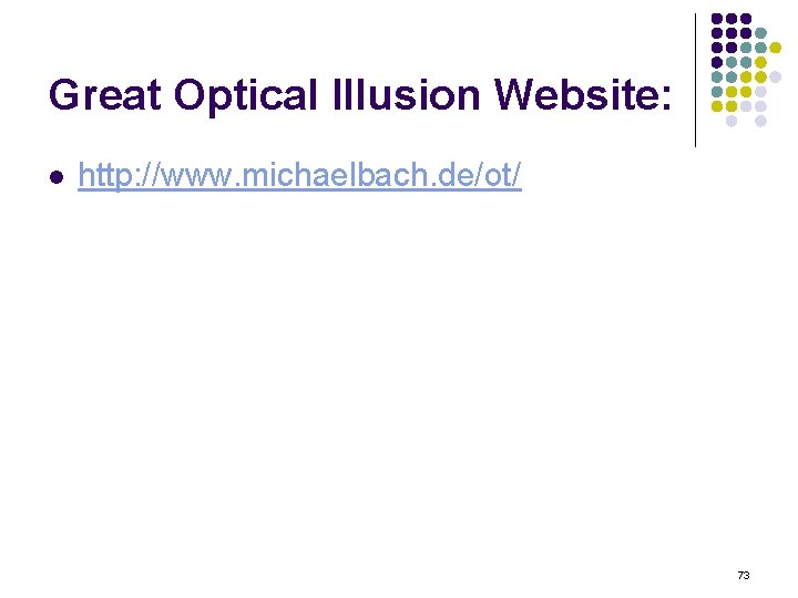 Great Optical Illusion Website: l http: //www. michaelbach. de/ot/ 73 