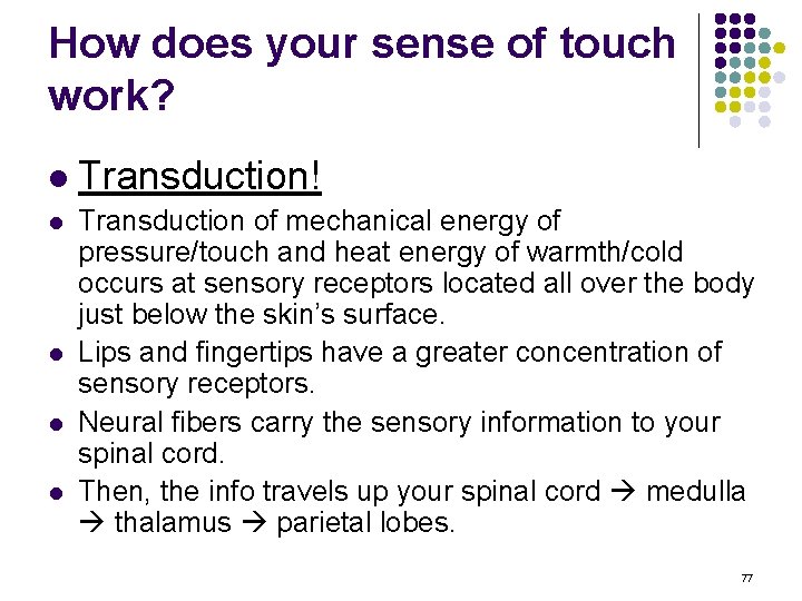How does your sense of touch work? l l l Transduction! Transduction of mechanical