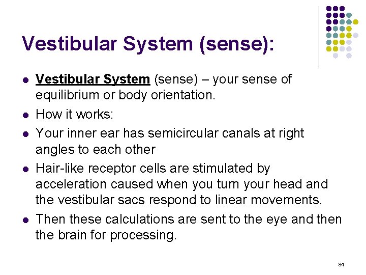 Vestibular System (sense): l l l Vestibular System (sense) – your sense of equilibrium