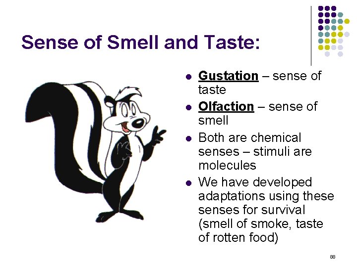 Sense of Smell and Taste: l l Gustation – sense of taste Olfaction –
