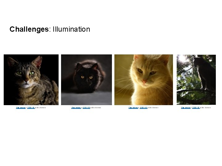 Challenges: Illumination This image is CC 0 1. 0 public domain Lecture 2 -