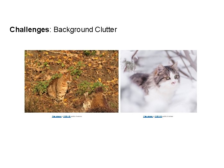 Challenges: Background Clutter This image is CC 0 1. 0 public domain Lecture 2