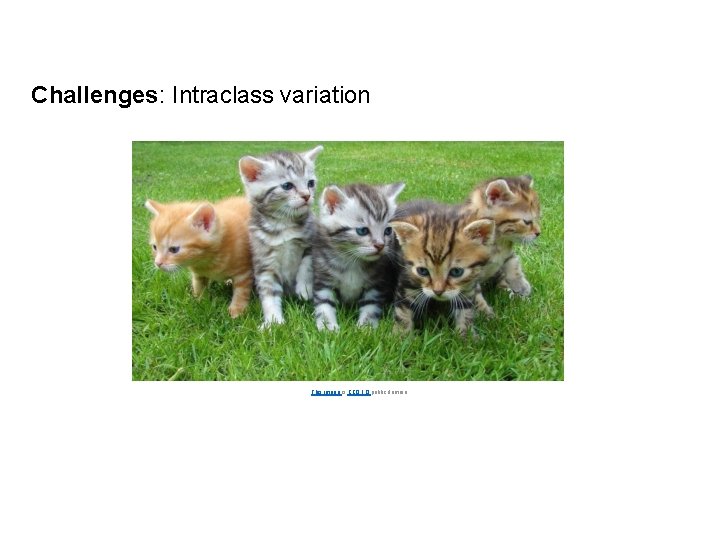 Challenges: Intraclass variation This image is CC 0 1. 0 public domain Lecture 2