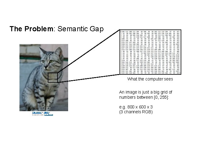 The Problem: Semantic Gap What the computer sees An image is just a big