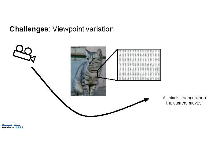 Challenges: Viewpoint variation All pixels change when the camera moves! This image by Nikita