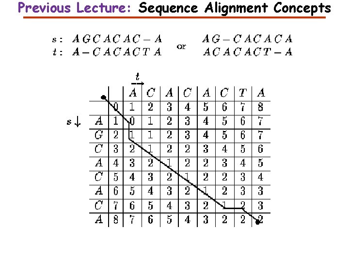 Previous Lecture: Sequence Alignment Concepts 