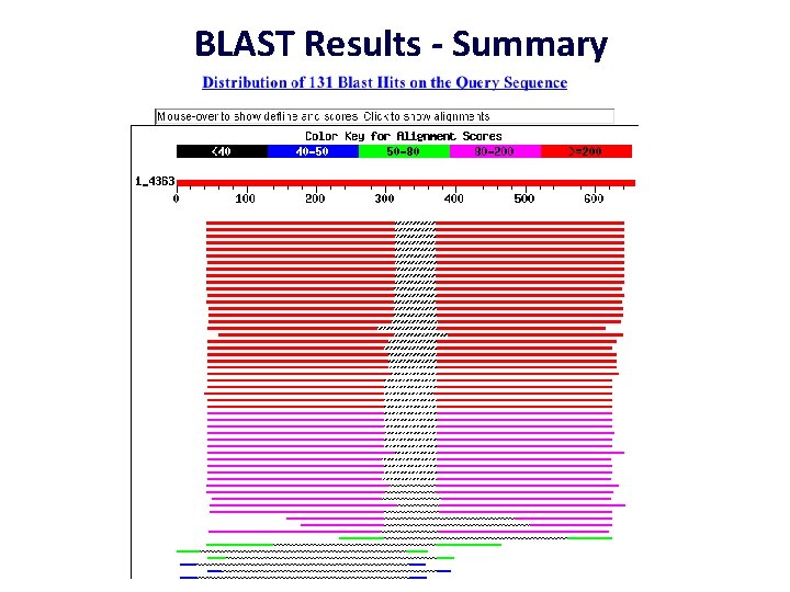 BLAST Results - Summary 