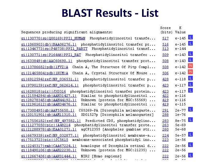 BLAST Results - List 