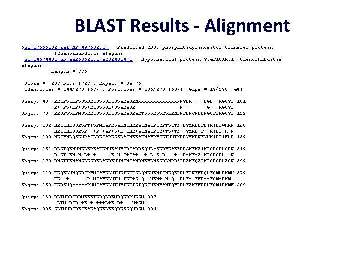 BLAST Results - Alignment >gi|17556182|ref|NP_497582. 1| Predicted CDS, phosphatidylinositol transfer protein [Caenorhabditis elegans] gi|14574401|gb|AAK