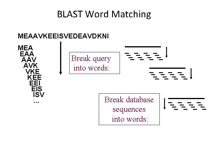 BLAST Word Matching MEAAVKEEISVEDEAVDKNI MEA EAA AAV AVK VKE KEE EEI EIS ISV. .