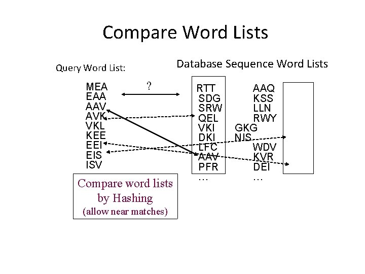 Compare Word Lists Database Sequence Word Lists Query Word List: MEA EAA AAV AVK