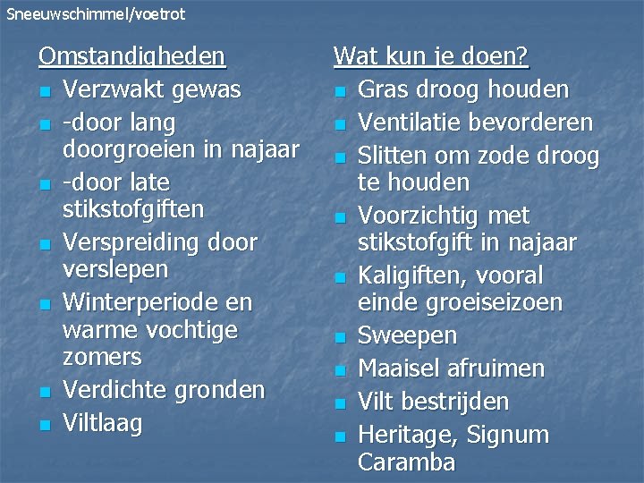 Sneeuwschimmel/voetrot Omstandigheden n Verzwakt gewas n -door lang doorgroeien in najaar n -door late