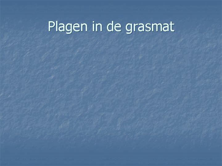 Plagen in de grasmat 