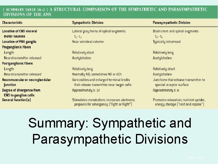 Summary: Sympathetic and Parasympathetic Divisions Table 16 -2 Summary: Sympathetic and Parasympathetic Divisions Table 16 -2