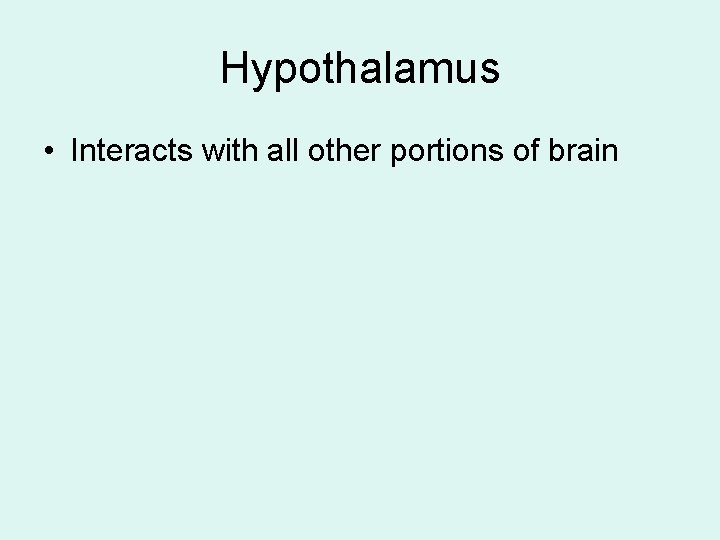 Hypothalamus • Interacts with all other portions of brain Hypothalamus • Interacts with all other portions of brain