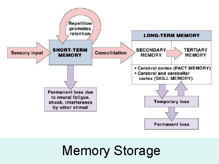 Memory Storage Memory Storage
