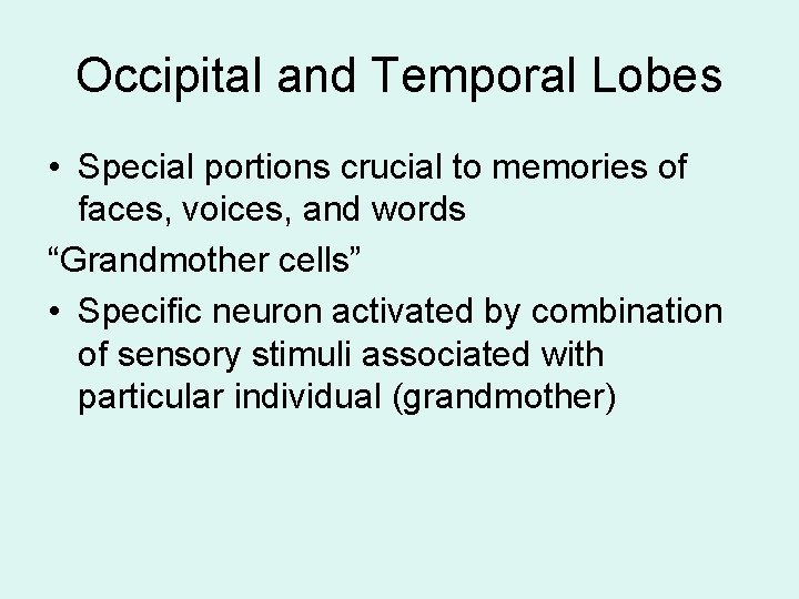 Occipital and Temporal Lobes • Special portions crucial to memories of faces, voices, and Occipital and Temporal Lobes • Special portions crucial to memories of faces, voices, and