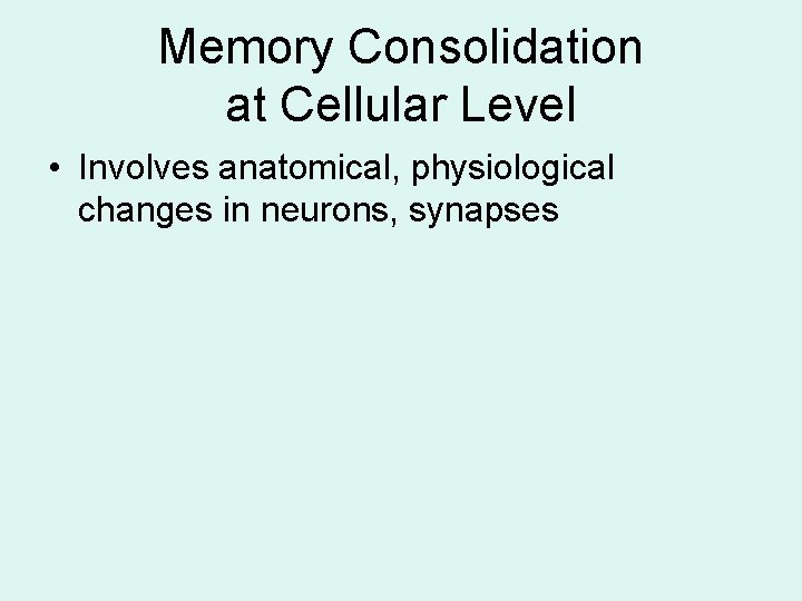 Memory Consolidation at Cellular Level • Involves anatomical, physiological changes in neurons, synapses Memory Consolidation at Cellular Level • Involves anatomical, physiological changes in neurons, synapses