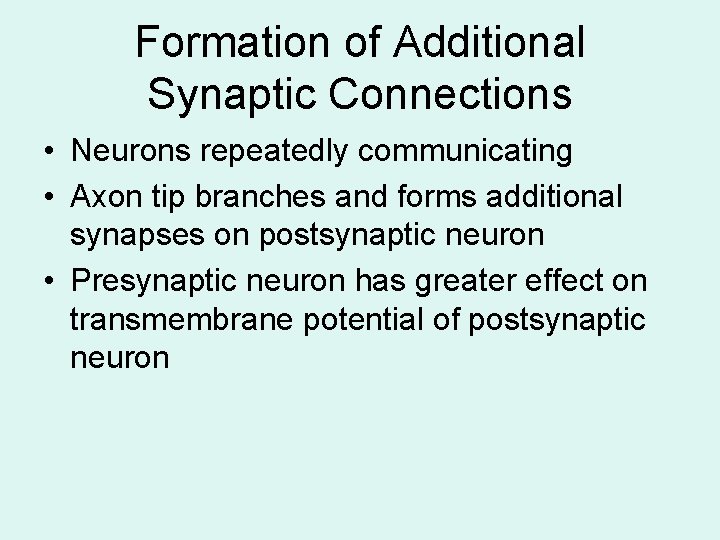 Formation of Additional Synaptic Connections • Neurons repeatedly communicating • Axon tip branches and Formation of Additional Synaptic Connections • Neurons repeatedly communicating • Axon tip branches and