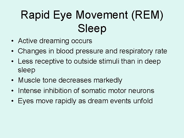 Rapid Eye Movement (REM) Sleep • Active dreaming occurs • Changes in blood pressure Rapid Eye Movement (REM) Sleep • Active dreaming occurs • Changes in blood pressure