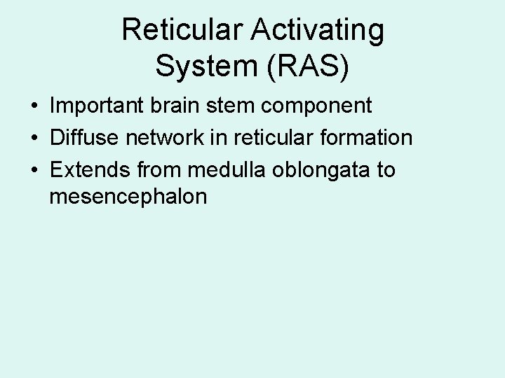 Reticular Activating System (RAS) • Important brain stem component • Diffuse network in reticular Reticular Activating System (RAS) • Important brain stem component • Diffuse network in reticular
