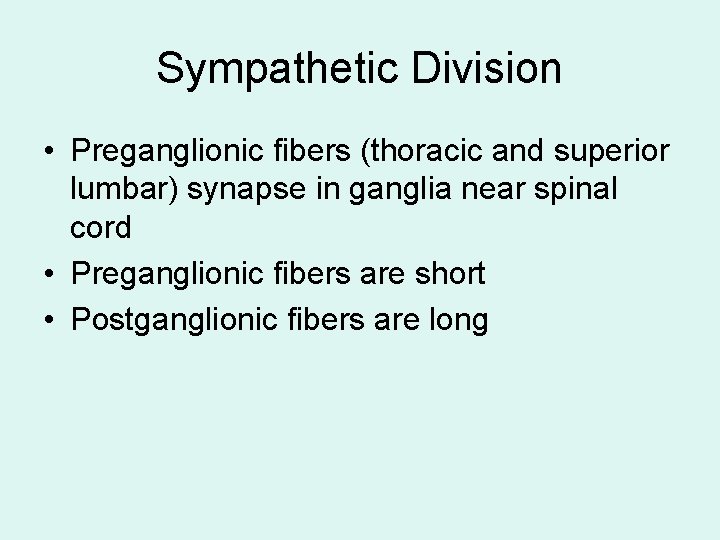 Sympathetic Division • Preganglionic fibers (thoracic and superior lumbar) synapse in ganglia near spinal Sympathetic Division • Preganglionic fibers (thoracic and superior lumbar) synapse in ganglia near spinal