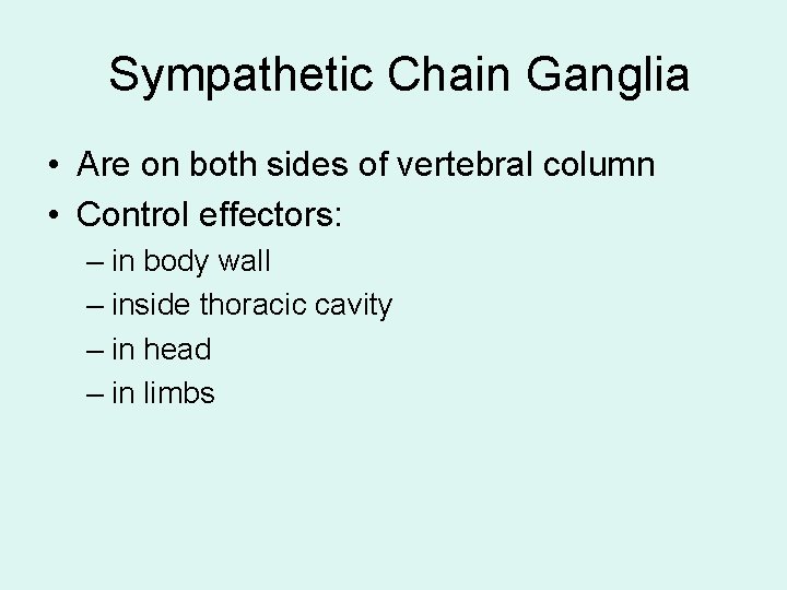 Sympathetic Chain Ganglia • Are on both sides of vertebral column • Control effectors: Sympathetic Chain Ganglia • Are on both sides of vertebral column • Control effectors: