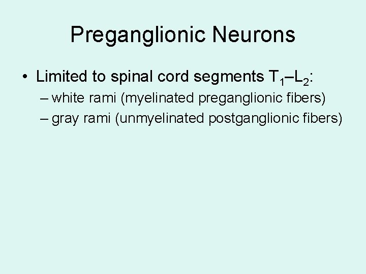 Preganglionic Neurons • Limited to spinal cord segments T 1–L 2: – white rami Preganglionic Neurons • Limited to spinal cord segments T 1–L 2: – white rami